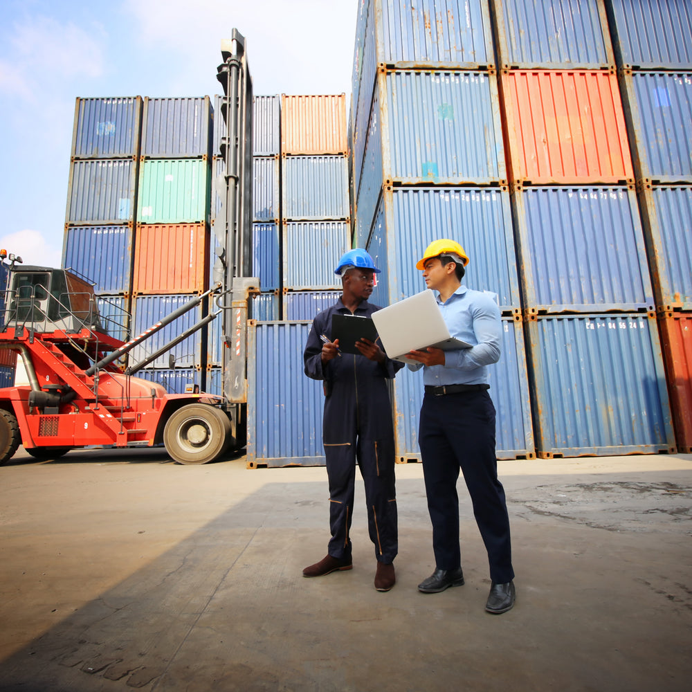 What Do We Mean by Exporting and Importing?
